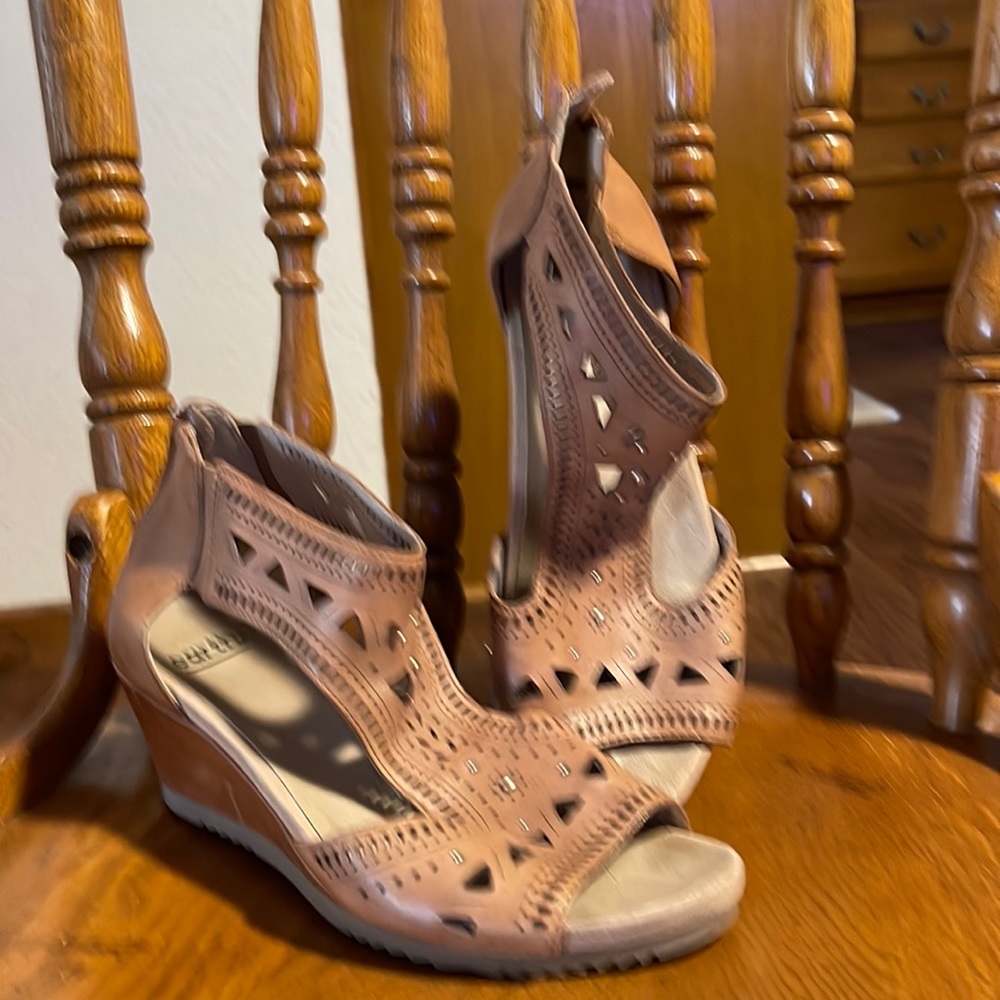 Earth Wedges